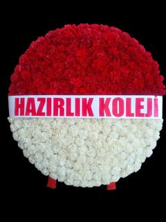 MOZOLE