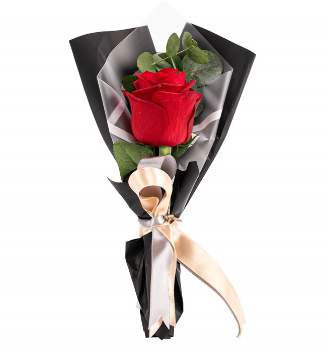 Mini Kırmızı Gül Buketi