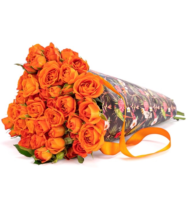 Madagaskar Serisi - Mini Turuncu Gül Tasarım