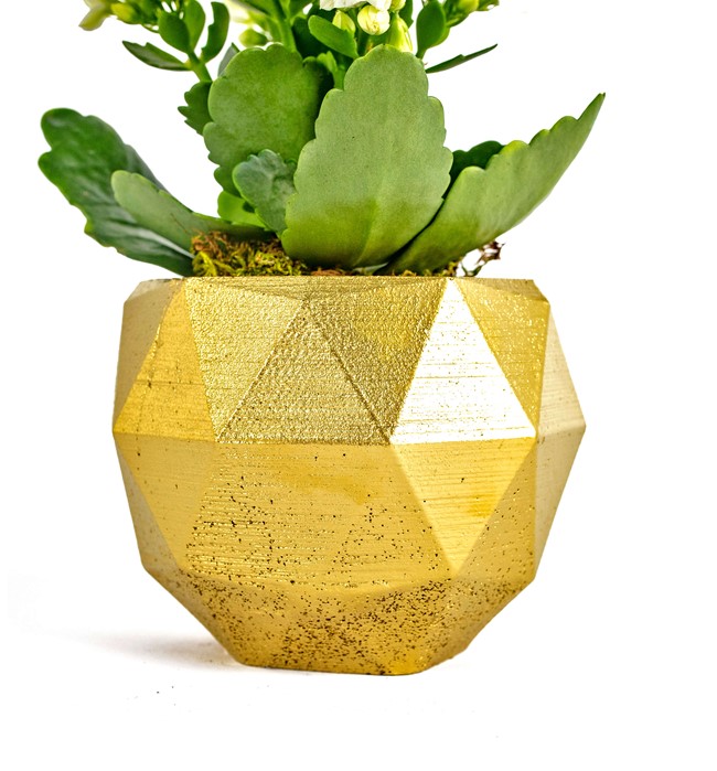 Geometrik Saksıda Kalanchoe Tasarım - Gold