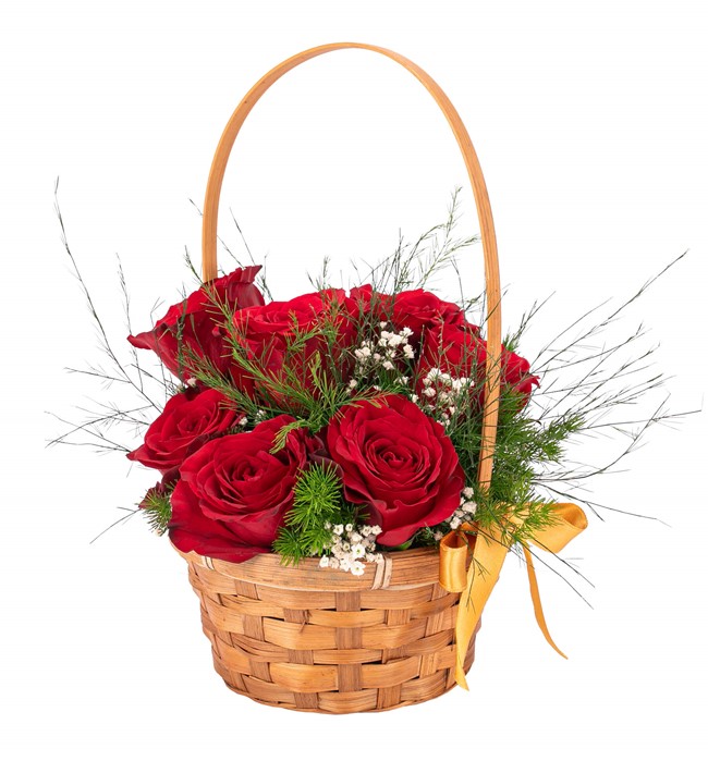  7 li Kırmızı Gül Tasarım