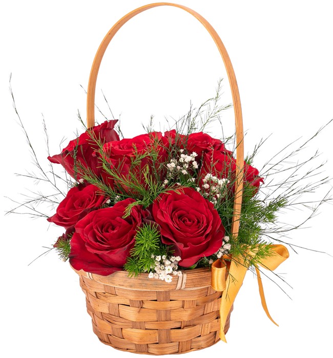  7 li Kırmızı Gül Tasarım