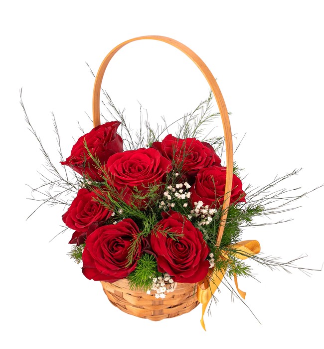  7 li Kırmızı Gül Tasarım