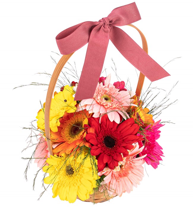  Gerbera Tasarım
