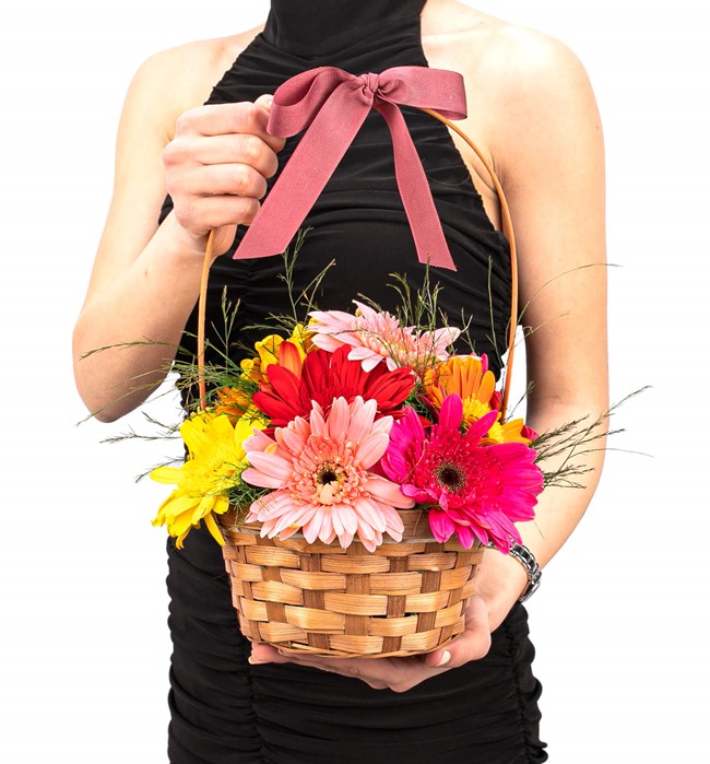  Gerbera Tasarım